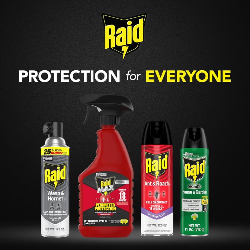 Raid Wasp & Hornet Killer Spray, Kills the Entire Nest, For Paper Wasps, Yellow Jackets, Mud Daubers, and more, 17.5 oz
