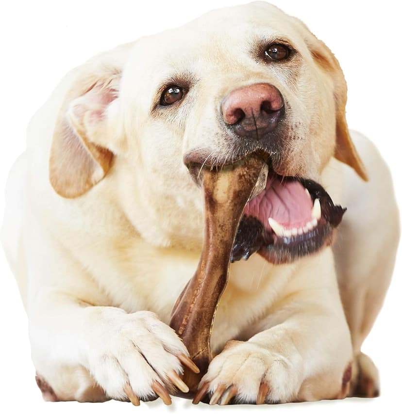 Nylabone Healthy Edibles WILD Natural Dog Chew Treats for Large Dogs, Long Lasting Dog Healthy Chew Bones Made in USA, Venison Flavor, For Dogs Up to 50 lbs. (1 Count)