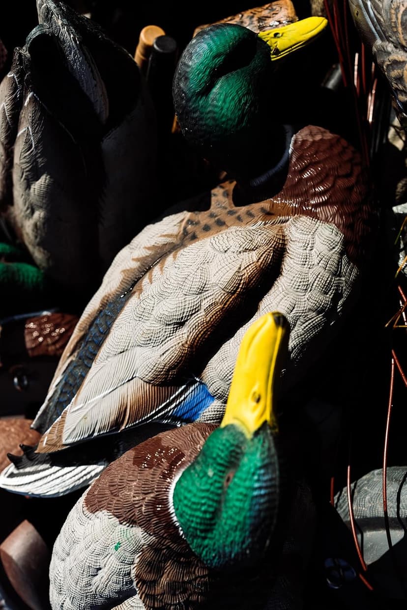 HEYDAY Mallard Position Pack #2 Duck Decoys Ultra-Light 100% HydroFoam | Durable, Realistic Design | 6 Pack of Duck Hunting Decoys