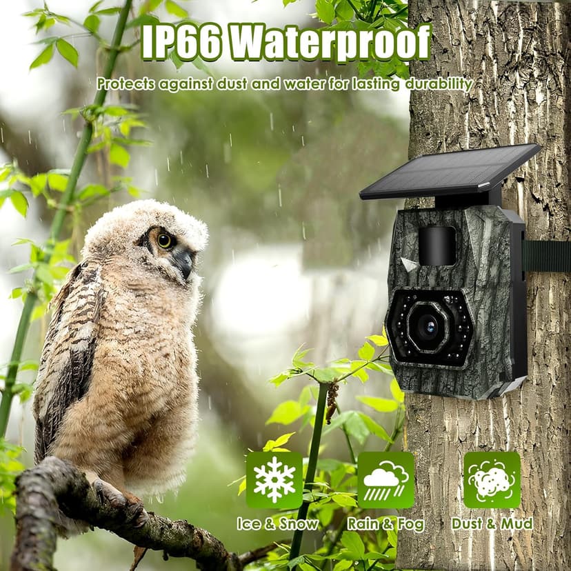 MAXDONE Solar Trail Camera WiFi Bluetooth - 48MP 30fps Game Camera with 5200mAh Rechargeable Battery, 0.1s Trigger Speed Motion Activated Trail Cam IP66 with 32GB TF Card for Wildlife Monitoring