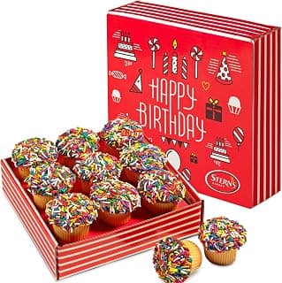 Birthday Gift Basket | Cupcakes Bakery Fresh [9 Count] | Mini Rainbow Sprinkle Cupcakes Individually Wrapped | Birthday Treats for Kids, Men, Women| Kosher, Nut Free | Stern’s Bakery B0D154PXW7