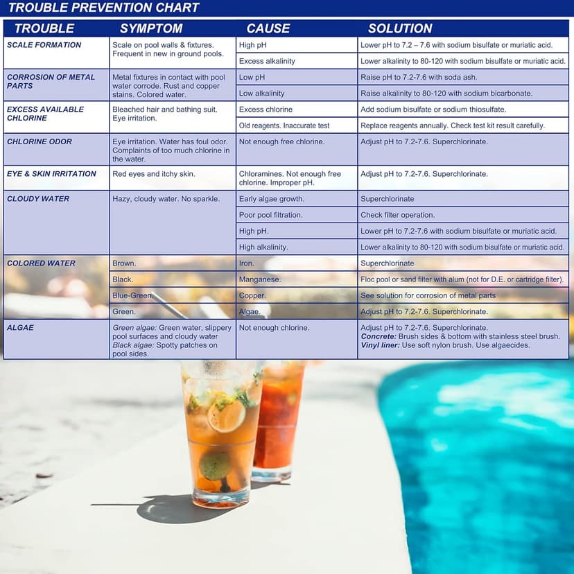 WWD POOL Swimming Pool Spa Water Chemical Test Kit for Chlorine and Ph Test (2 Way Test Kit)