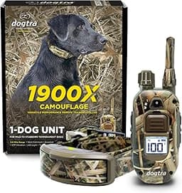Precision and Safety: Choosing the Best Hunting Dog Shock Collar as a Gift for Outdoorsmen