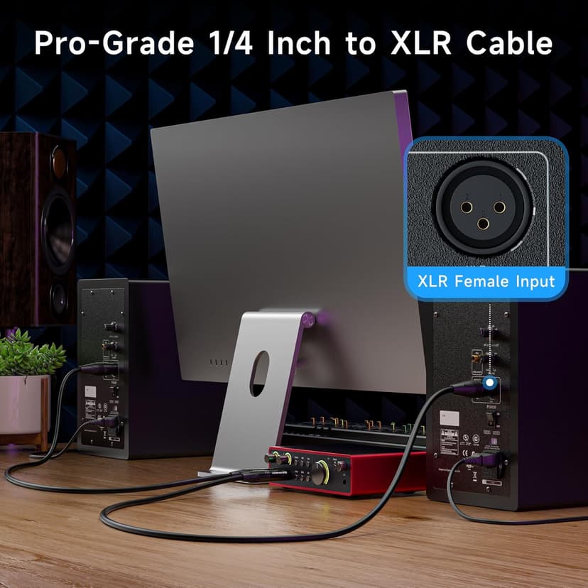 Cable Matters 6.35mm (1/4 Inch) TRS to XLR Cable - 6ft, Male to Male XLR to TRS Cable, Black - Not for Microphone Use