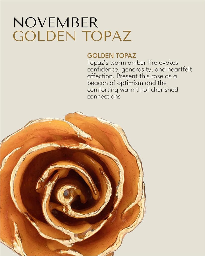 Real Rose with Sparkles in Leather Case with LED Light, Perfect Ready to Gift for Birthday or Any Occasion Forever Rose Hand-Dipped in 24K Gold, Golden Topaz November Birthstone B0CJHZLJVG