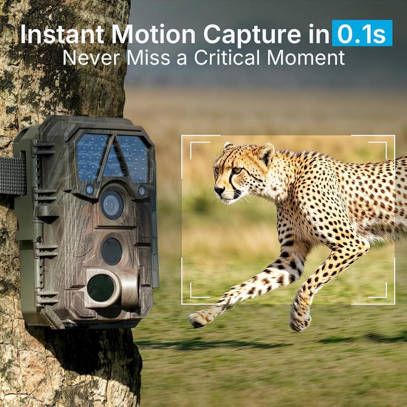 P70 (Non-Cellular,Non-WiFi) Trail Camera, 64MP 1296p, Game Cameras with No-Glow IR Night Vision, Motion Activated, Waterproof for Wildlife Deer Cams, Hunting
