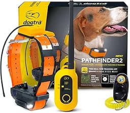 Precision Field Communication: Finding the Best E Collar for Hunting as a Premium Gift