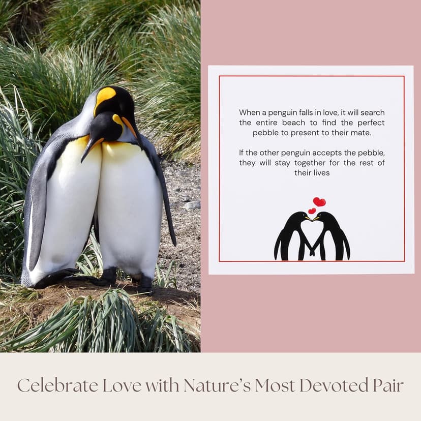 1 Year Anniversary for Boyfriend or Girlfriend - Penguin Pebble Gift- First Wedding Anniversary for Husband or Wife - One Year Together Keepsake
