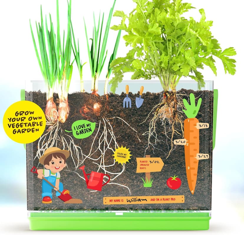 Birthday Gifts for Boy, Girl 4, 5, 6, 7, 8, Year Old - Science STEM Toy & Craft Growing Kits for Ages 4-8, 6-8 Years Root Viewer Kit for Kids - Grow Your Own Plant for Boys & Girls Gifts B0CRK33YXD