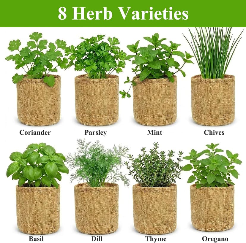 Indoor Herb Garden Kit, Culinary Herb Starter Kit with Seeds & Tools for Beginners, Kitchen Decor, House Warming Gifts for New Home, for Christmas, Ultimate Birthday Gifts for Women Men Mom Dad B0GR93MPX1