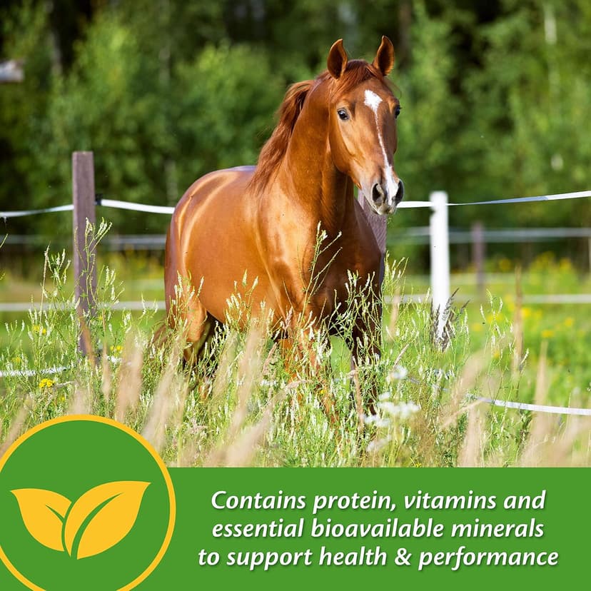 Farnam Vita Plus Balanced Multi-Vitamin & Mineral Horse Supplement, Provides Balanced Nutrition to Support Overall Health and Performance, 3.75 pounds, 30 Day Supply