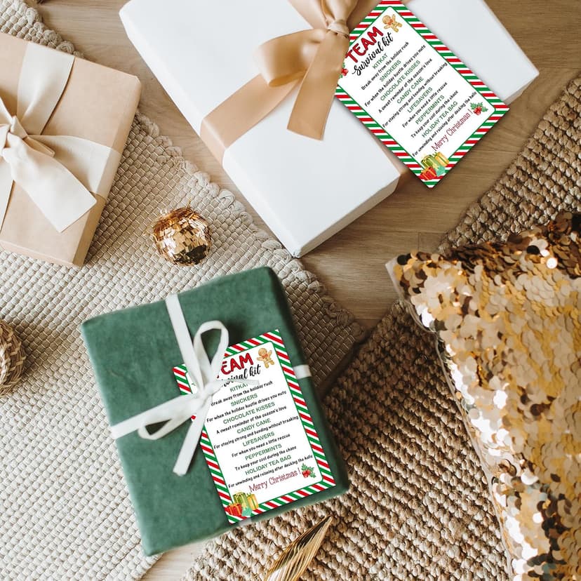 40 Pcs Team Survival Kit Gift Tag, Christmas Staff Appreciation Tags for Gift Bags, Welcome to the Team Gifts for Volunteers Employees - KA06 B0FJ2B58B3
