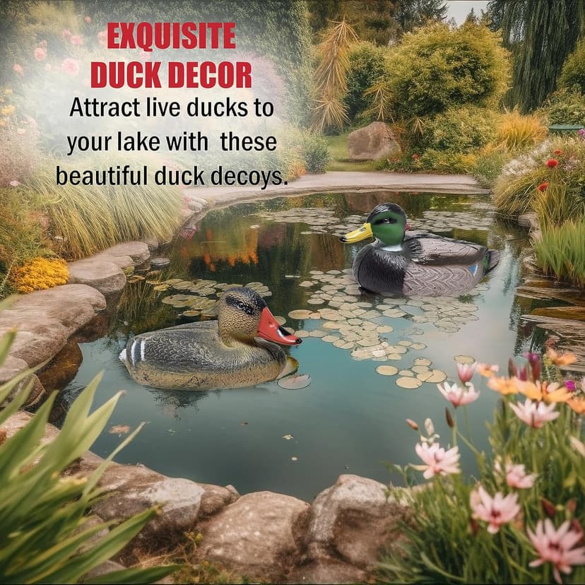 Duck Decoys for Hunting | Floating Duck Decoy for Pool, Pond & Lake