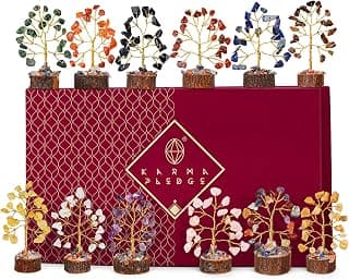 Chakra Healing Crystal Tree Set of 12, Thoughtful Gifts for Women, Office Desk Decoration, Home, Shelf Decor for Positive Energy, Money, Reiki Healing, Good Luck, Birthday Gifts for Mom Love Ones