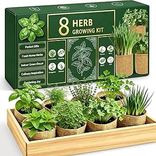 Indoor Herb Garden Kit, Culinary Herb Starter Kit with Seeds & Tools for Beginners, Kitchen Decor, House Warming Gifts for New Home, for Christmas, Ultimate Birthday Gifts for Women Men Mom Dad B0GR93MPX1