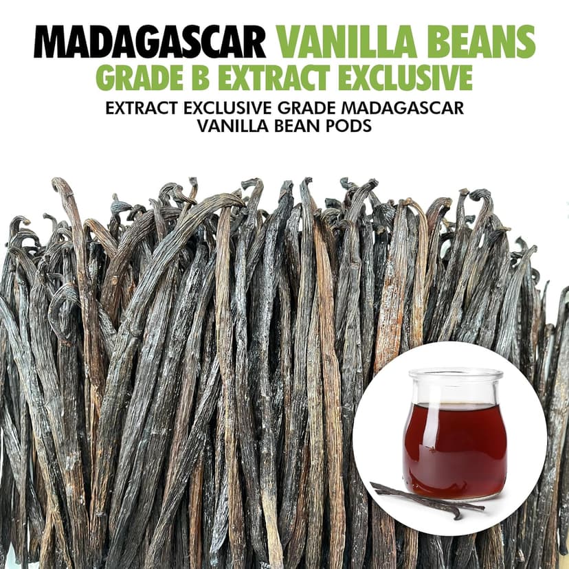 55 Organic Madagascar Vanilla Extract Exclusive Grade B Beans| 4" - 5" by FITNCLEAN VANILLA| Certified USDA Organic. Bulk Dry Whole Bourbon NON-GMO Pods B0DBZBR2MW