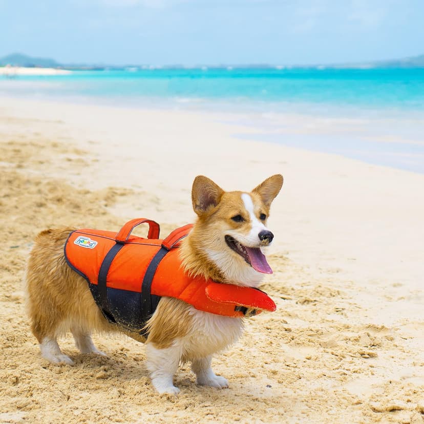 Outward Hound Granby Splash Orange Dog Life Jacket, Large