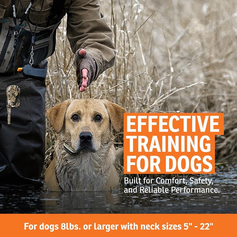 SportDOG WetlandHunter 425X Remote Trainer - Reliable Off-Leash Control - Rechargeable - Waterproof DryTek Technology - Adjustable Training Collar - Camouflage - 500-Yard Range, 1 Collar