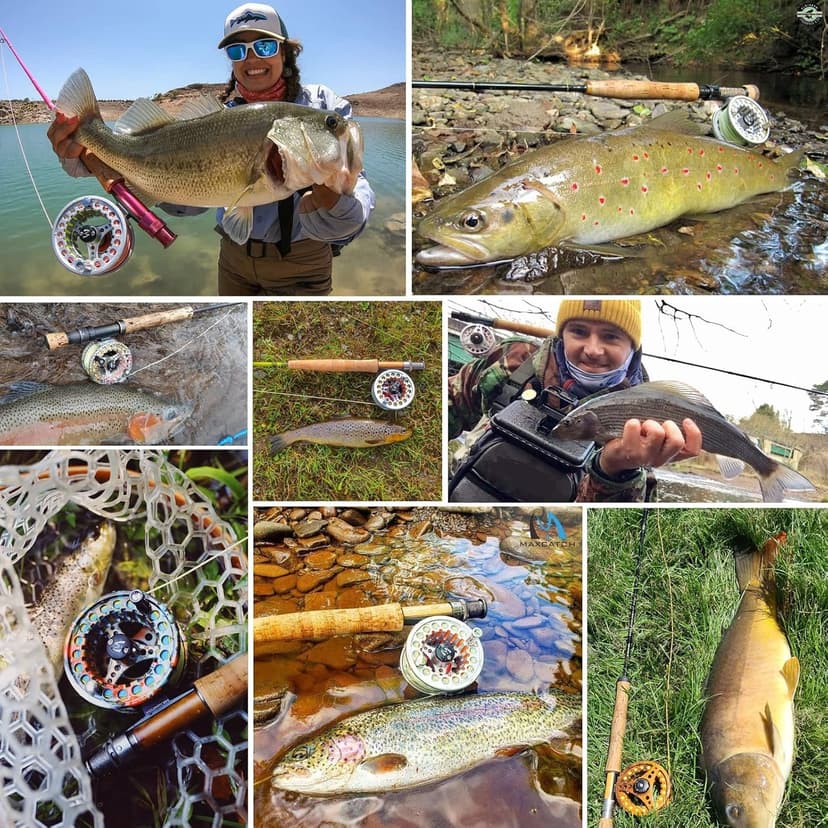 M MAXIMUMCATCH Maxcatch ECO Large Arbor Fly Fishing Reel (3/4wt 5/6wt 7/8wt) and Pre-Loaded Fly Reel with Line Combo