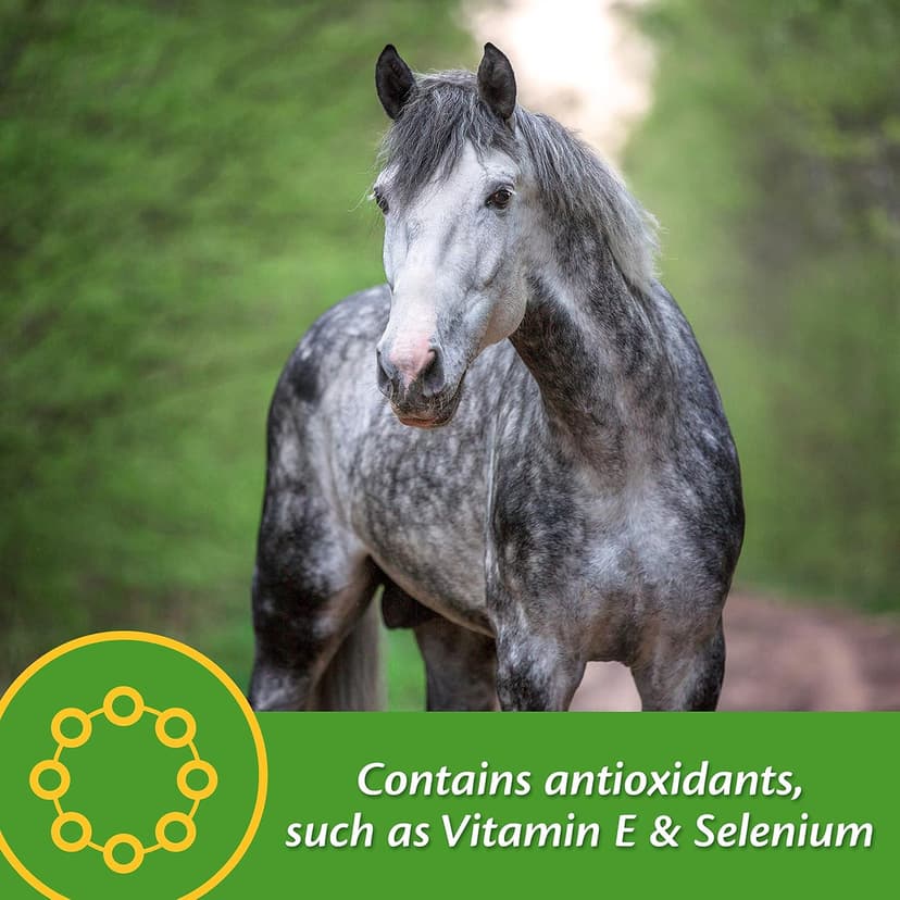 Farnam Vita Plus Balanced Multi-Vitamin & Mineral Horse Supplement, Provides Balanced Nutrition to Support Overall Health and Performance, 3.75 pounds, 30 Day Supply