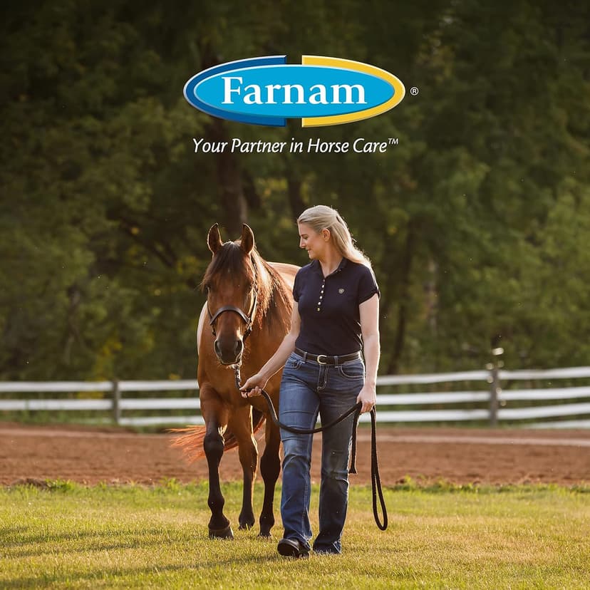 Farnam Leather New Easy-Polishing Glycerine Saddle Soap and Leather Saddle Cleaner, Protects and Preserves Leather, Cleans, Conditions and Polishes, 16 Oz.