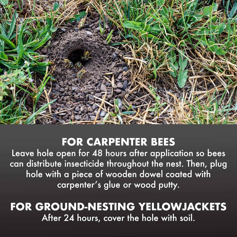 Spectracide Carpenter Bee And Ground-Nesting Yellowjacket Killer Foaming Aerosol 16 Ounces, Expands To Where Insects Live, Yellow