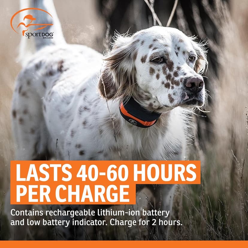 SportDOG FieldTrainer 425X & SportHunter 825X Add-a-Dog Collar - Double Pairing Compatible - Safe Shock E-Collar for Multi-Dog Households - Durable & Waterproof Obedience Training Accessory - Orange
