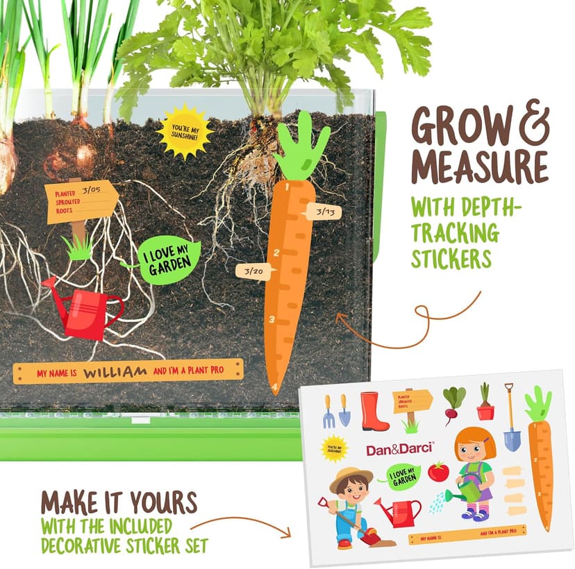 Birthday Gifts for Boy, Girl 4, 5, 6, 7, 8, Year Old - Science STEM Toy & Craft Growing Kits for Ages 4-8, 6-8 Years Root Viewer Kit for Kids - Grow Your Own Plant for Boys & Girls Gifts B0CRK33YXD