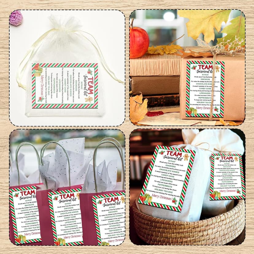 40 Pcs Team Survival Kit Gift Tag, Christmas Staff Appreciation Tags for Gift Bags, Welcome to the Team Gifts for Volunteers Employees - KA06 B0FJ2B58B3