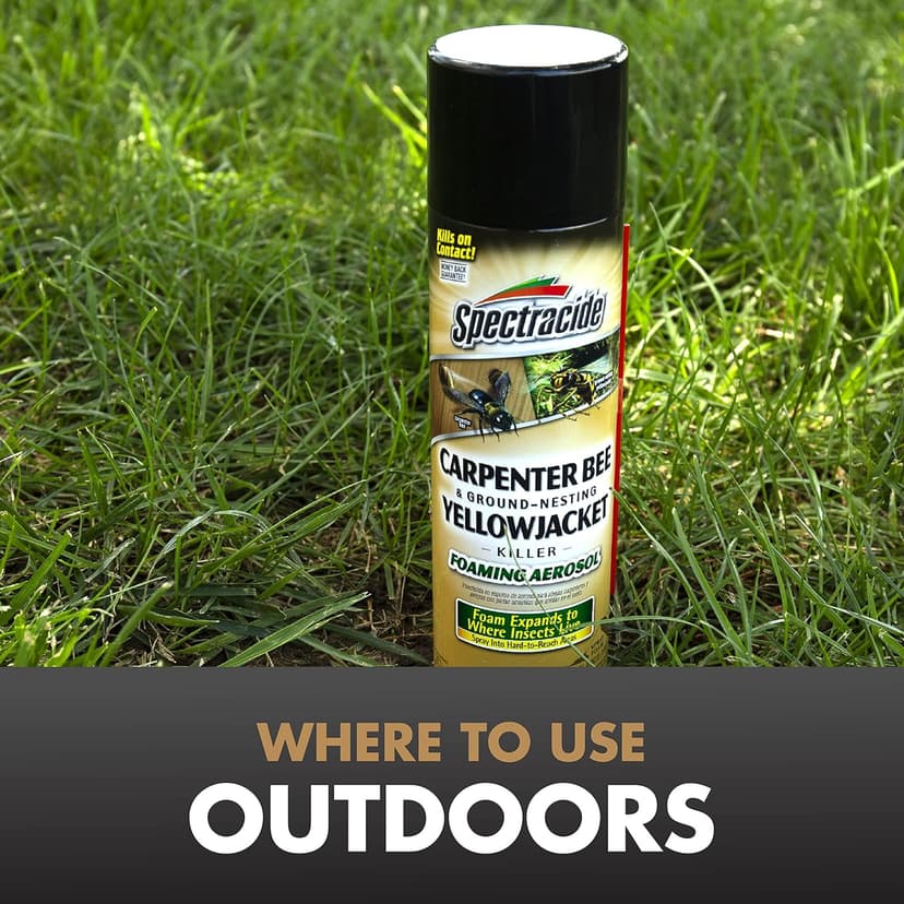 Spectracide Carpenter Bee And Ground-Nesting Yellowjacket Killer Foaming Aerosol 16 Ounces, Expands To Where Insects Live, Yellow