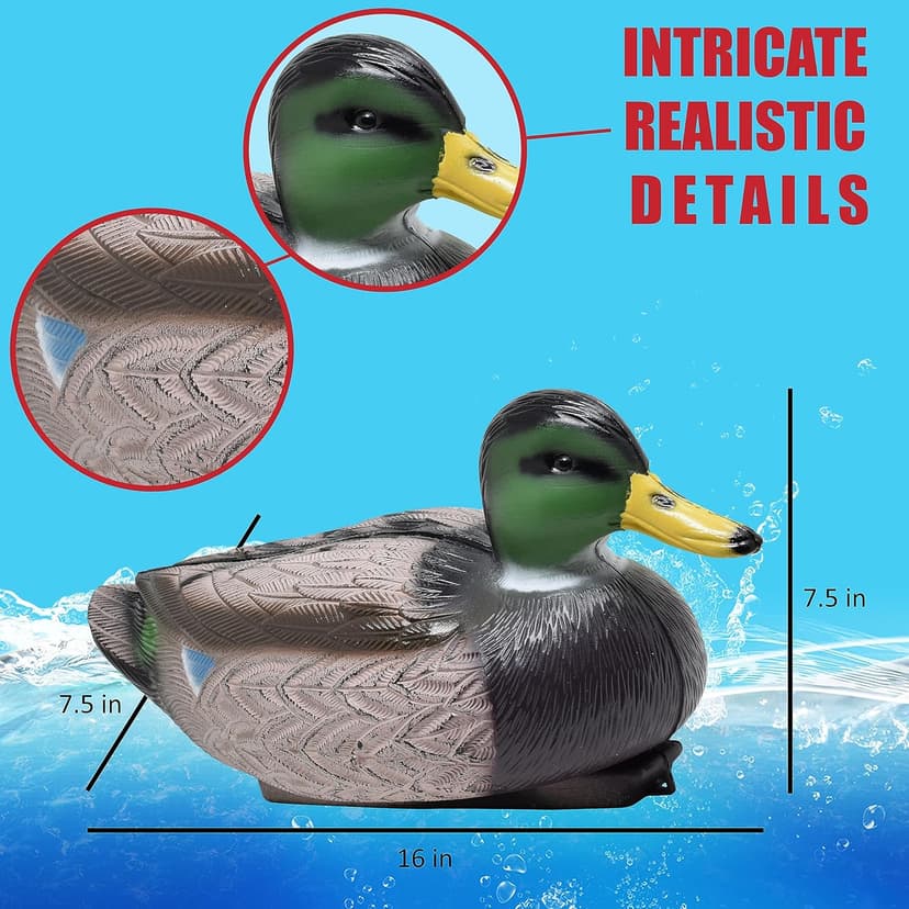 Duck Decoys for Hunting | Floating Duck Decoy for Pool, Pond & Lake