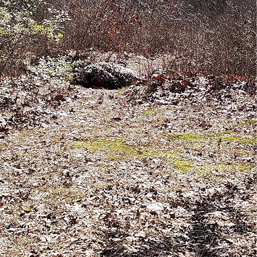 LOOGU Camo Netting, Camouflage Net Blinds Great for Sunshade Camping Shooting Hunting