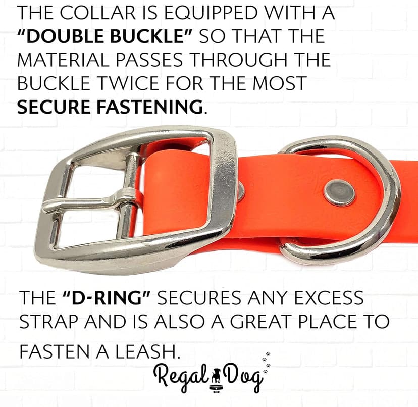 Regal Dog Products Medium Orange Dog Collar with Heavy Duty Double Buckle & D Ring | Vinyl Coated, Custom Fit, Adjustable Biothane Dog Collar Chew Resistant Waterproof Center-Ring Collar for Dogs