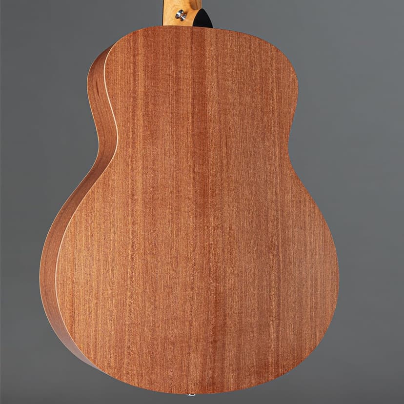 Sapele GS Mini by Taylor