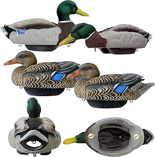 HEYDAY Mallard Position Pack #2 Duck Decoys Ultra-Light 100% HydroFoam | Durable, Realistic Design | 6 Pack of Duck Hunting Decoys
