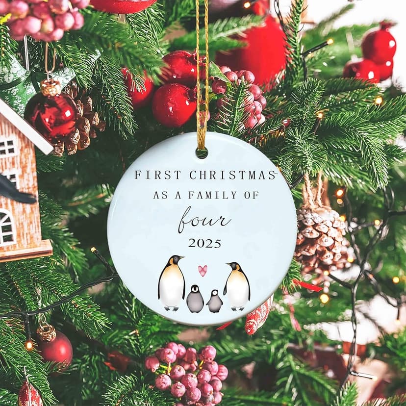 New Baby 2025 Christmas Ornament Gift-Christmas Tree Decor-First Christmas As a Family of Four-New Parents Gift-New Mom New Dad-Baby Present Shower Newborn-Second Child Present