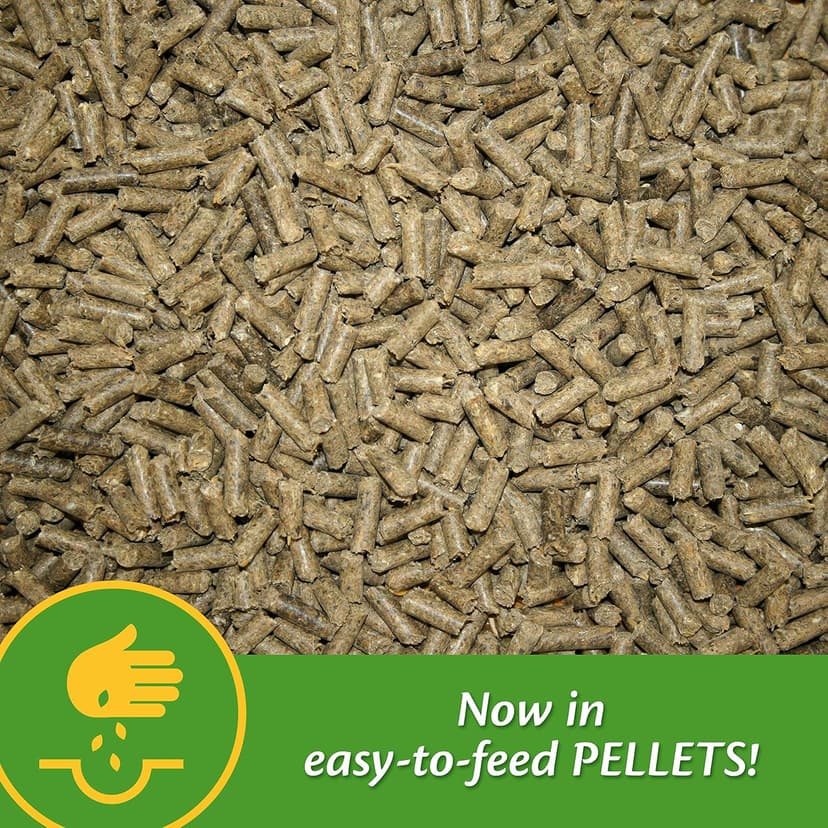 Farnam Vita Plus Balanced Multi-Vitamin & Mineral Horse Supplement, Provides Balanced Nutrition to Support Overall Health and Performance, 3.75 pounds, 30 Day Supply