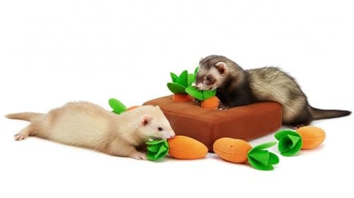 Ferret Foraging Toys Novelty Carrot Snuffle Mat Interactive Pet Treat Enrichment Toys for Small Animals Bunny Rabbit Chinchilla Guinea Pig Hamster (6Carrot)