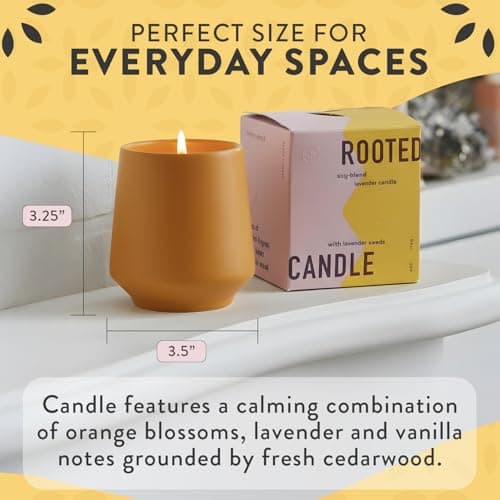Modern Sprout Rooted Candle - 2 in 1 Cedarwood Scented & Soy Candle with Seeds That Grows into Lavender Plant - 6 oz w/ 42 hr Burn time in Matte Glaze Ceramic Vessel Ideal for Indoor Herb Garden