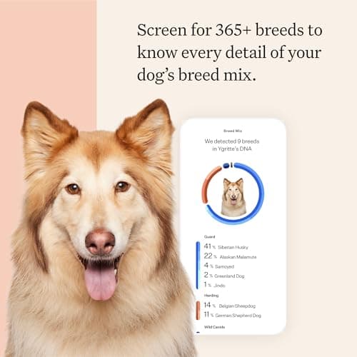 Wisdom Panel Premium Dog DNA Kit: Most Comprehensive with 265+ Health Tests, Identify 365+ Dog Breeds, 50+ Traits, Relatives, Ancestry, Genetic Diversity - Pack of 1