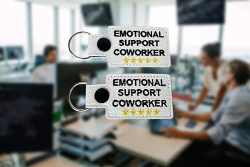Coworker Gifts: Emotional Support Keychain for Work Bestie & Christmas