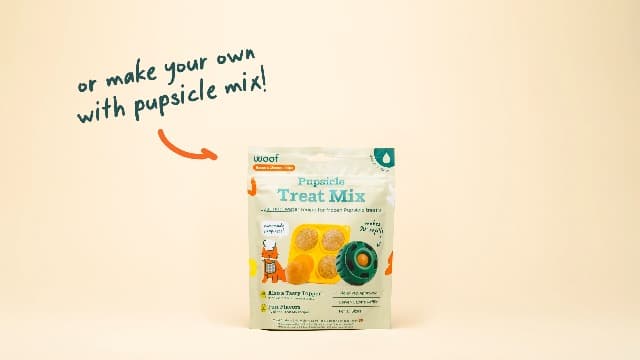 WOOF Pupsicle Birthday Pops - Healthy Dog Treats - Pre-Made Pupsicle Refills - Wholesome Ingredients - Naturally Sweet - Cake-Flavored Birthday Treat for Dogs - XL