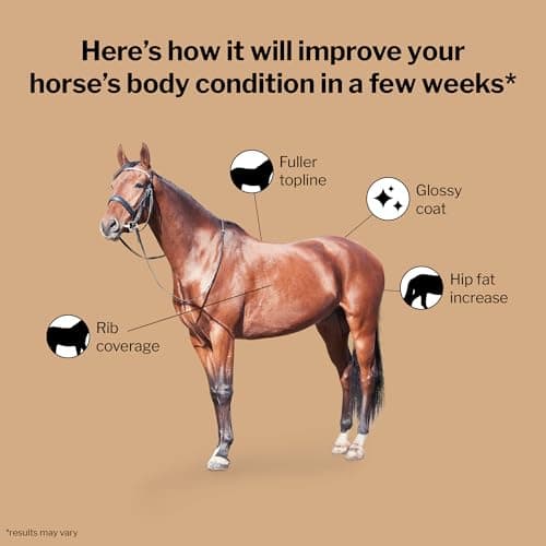 Formula 707 Weight Gain Crumble Equine Supplement, 7 lb Bag – Palatable, Calorie-Rich Nutritional Support for Hard-to-Keep and Senior Horses