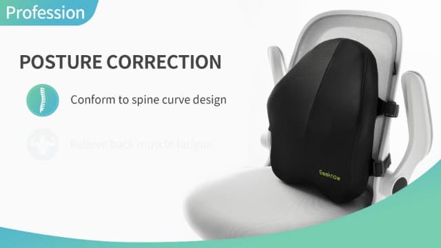 Lumbar Support Pillow for Office Chair Back Support Pillow for Chair Car Seat Back Support Ergonomic Back Chair Pillow Desk Chair Back Cushion for Back Pain Back Rest Pillow Lumbar Back support