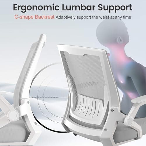 GTPLAYER Ergonomic Office Chair with Flip-up Armrests Executive Computer Chair for Home Office, Breathable Mesh & Comfy Lumbar Support, Moon Gray