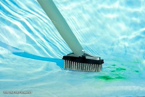 Poolmaster 20178 5-Inch Aluminum-Back Swimming Pool Algae Brush with Stainless Steel Bristles, Classic Collection