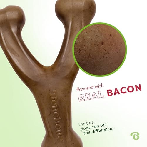 Durable, Super Chewer, Made in USA, Dog Bones, Long-Lasting, A Size for Every Dog, Keeps Them Busy Benebone Wishbone Dog Chew Toy for Aggressive Chewers, Real Bacon, Medium B00CPDWT2M