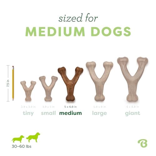 Durable, Super Chewer, Made in USA, Dog Bones, Long-Lasting, A Size for Every Dog, Keeps Them Busy Benebone Wishbone Dog Chew Toy for Aggressive Chewers, Real Bacon, Medium B00CPDWT2M