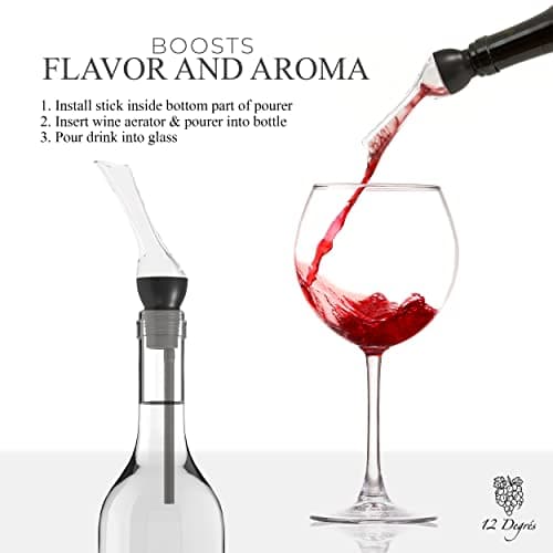 Wine Chiller Set - Perfect Wine Gifts for Women & Men - Stainless Steel Insulated Wine Cooler with Wine Pump, Aerator & 4 Stoppers (Silver)