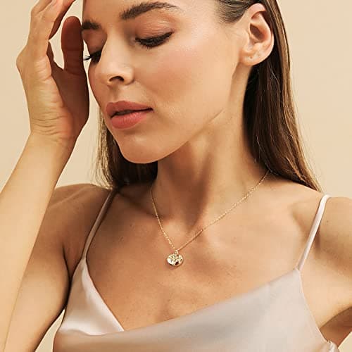 Zealmer Dainty 18K Gold Plated Compass World Map Pendant Necklace Graduation Gift for Friends